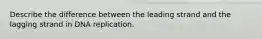 Describe the difference between the leading strand and the lagging strand in DNA replication.