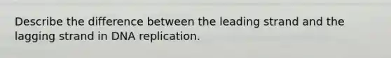 Describe the difference between the leading strand and the lagging strand in DNA replication.