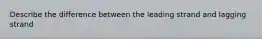 Describe the difference between the leading strand and lagging strand