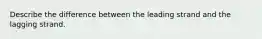 Describe the difference between the leading strand and the lagging strand.