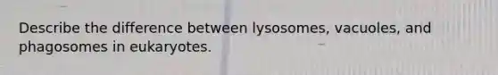 Describe the difference between lysosomes, vacuoles, and phagosomes in eukaryotes.