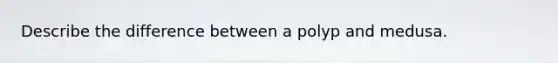 Describe the difference between a polyp and medusa.