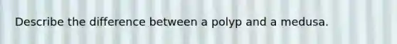 Describe the difference between a polyp and a medusa.