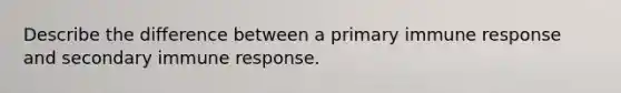 Describe the difference between a primary immune response and secondary immune response.