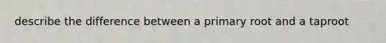 describe the difference between a primary root and a taproot