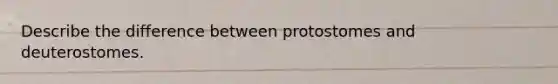 Describe the difference between protostomes and deuterostomes.