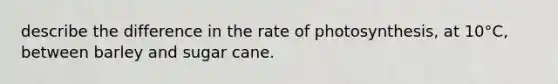 describe the difference in the rate of photosynthesis, at 10°C, between barley and sugar cane.