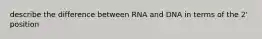 describe the difference between RNA and DNA in terms of the 2' position