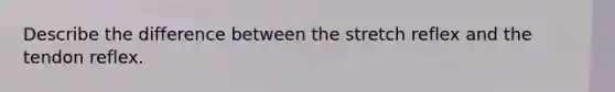 Describe the difference between the stretch reflex and the tendon reflex.