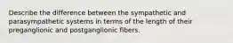 Describe the difference between the sympathetic and parasympathetic systems in terms of the length of their preganglionic and postganglionic fibers.