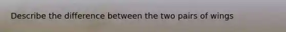 Describe the difference between the two pairs of wings