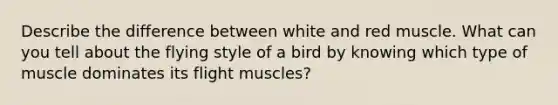 Describe the difference between white and red muscle. What can you tell about the flying style of a bird by knowing which type of muscle dominates its flight muscles?