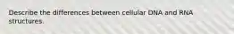 Describe the differences between cellular DNA and RNA structures.