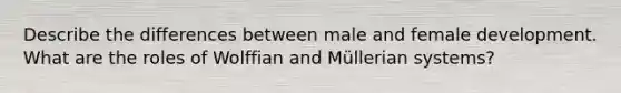 Describe the differences between male and female development. What are the roles of Wolffian and Müllerian systems?