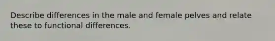 Describe differences in the male and female pelves and relate these to functional differences.