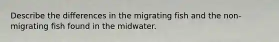 Describe the differences in the migrating fish and the non-migrating fish found in the midwater.