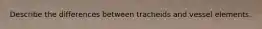 Describe the differences between tracheids and vessel elements.