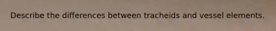 Describe the differences between tracheids and vessel elements.