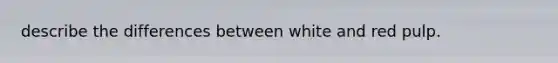 describe the differences between white and red pulp.