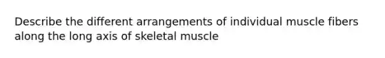 Describe the different arrangements of individual muscle fibers along the long axis of skeletal muscle