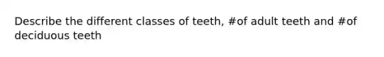 Describe the different classes of teeth, #of adult teeth and #of deciduous teeth