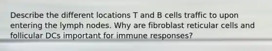 Describe the different locations T and B cells traffic to upon entering the lymph nodes. Why are fibroblast reticular cells and follicular DCs important for immune responses?