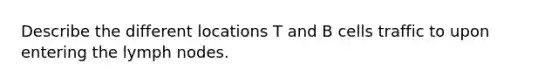 Describe the different locations T and B cells traffic to upon entering the lymph nodes.