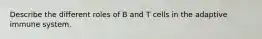Describe the different roles of B and T cells in the adaptive immune system.