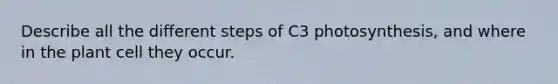 Describe all the different steps of C3 photosynthesis, and where in the plant cell they occur.