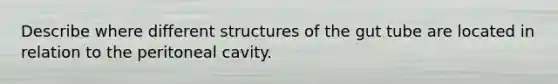 Describe where different structures of the gut tube are located in relation to the peritoneal cavity.