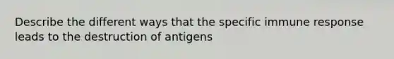 Describe the different ways that the specific immune response leads to the destruction of antigens