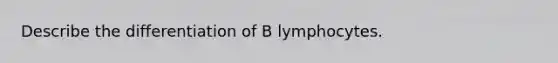 Describe the differentiation of B lymphocytes.