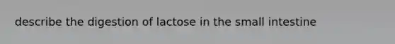 describe the digestion of lactose in the small intestine