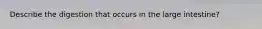 Describe the digestion that occurs in the large intestine?