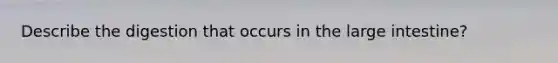 Describe the digestion that occurs in the large intestine?