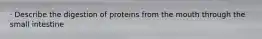 · Describe the digestion of proteins from the mouth through the small intestine