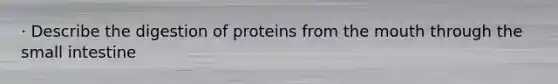 · Describe the digestion of proteins from the mouth through the small intestine