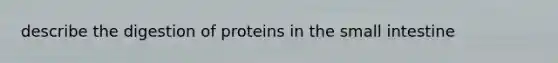 describe the digestion of proteins in the small intestine