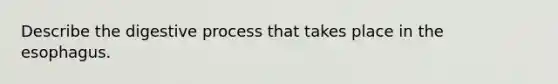 Describe the digestive process that takes place in the esophagus.