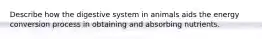 Describe how the digestive system in animals aids the energy conversion process in obtaining and absorbing nutrients.