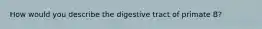 How would you describe the digestive tract of primate B?