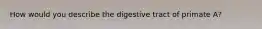 How would you describe the digestive tract of primate A?