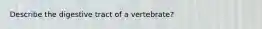 Describe the digestive tract of a vertebrate?