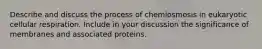 Describe and discuss the process of chemiosmosis in eukaryotic cellular respiration. Include in your discussion the significance of membranes and associated proteins.