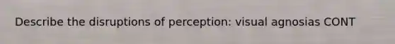 Describe the disruptions of perception: visual agnosias CONT