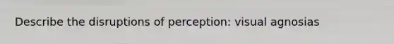 Describe the disruptions of perception: visual agnosias