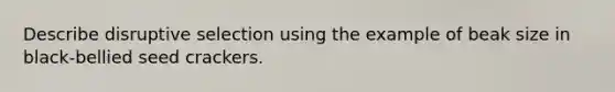 Describe disruptive selection using the example of beak size in black-bellied seed crackers.