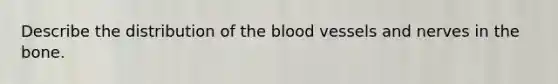 Describe the distribution of the blood vessels and nerves in the bone.