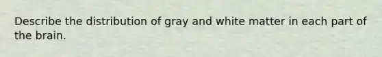 Describe the distribution of gray and white matter in each part of the brain.