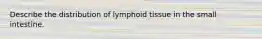 Describe the distribution of lymphoid tissue in the small intestine.